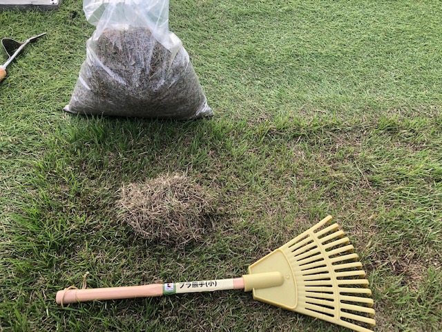 キノコの除去 庭の芝生に発生したキノコ除去 ５つのポイント Par Ojisan72 Golf